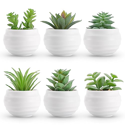 Der Rose 6 Pack Small Succulent Plants Faux Potted Greenery