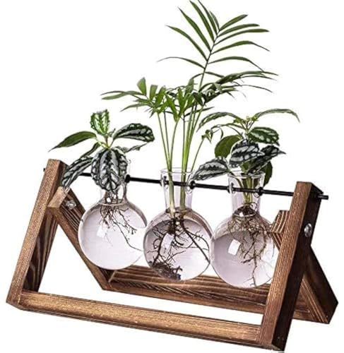 Kingbuy Terrarium Propagation Station 3 Bulb Glass Vase on Wooden Stand