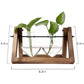 Kingbuy Terrarium Propagation Station 3 Bulb Glass Vase on Wooden Stand