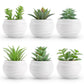 Der Rose 6 Pack Small Succulent Plants Faux Potted Greenery