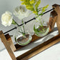 Kingbuy Terrarium Propagation Station 3 Bulb Glass Vase on Wooden Stand
