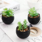 Der Rose 6 Pack Small Succulent Plants Faux Potted Greenery