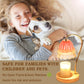 Funistree Flower Candle Warmer Lamp with Timer