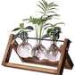 Kingbuy Terrarium Propagation Station 3 Bulb Glass Vase on Wooden Stand