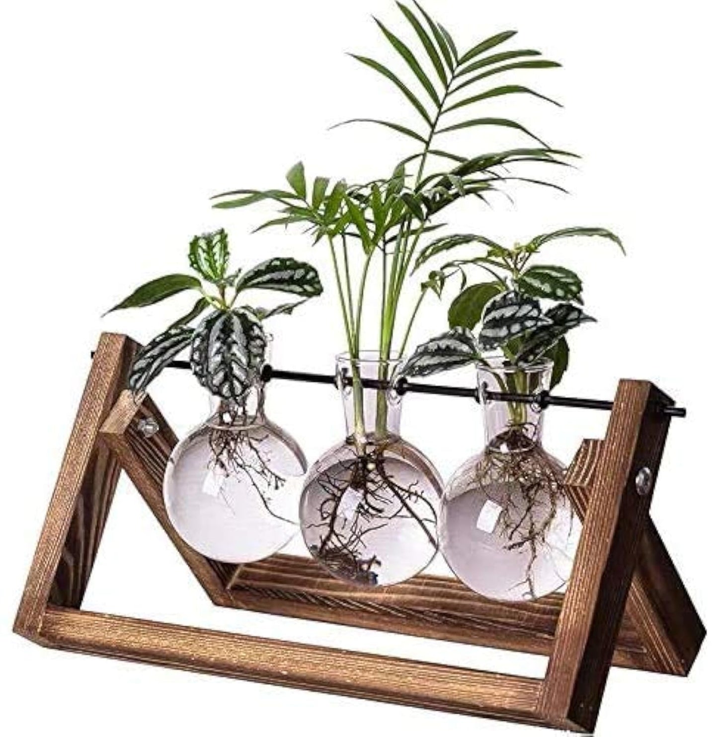 Kingbuy Terrarium Propagation Station 3 Bulb Glass Vase on Wooden Stand