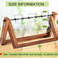 Kingbuy Terrarium Propagation Station 3 Bulb Glass Vase on Wooden Stand