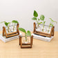Kingbuy Terrarium Propagation Station 3 Bulb Glass Vase on Wooden Stand