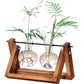 Kingbuy Terrarium Propagation Station 3 Bulb Glass Vase on Wooden Stand