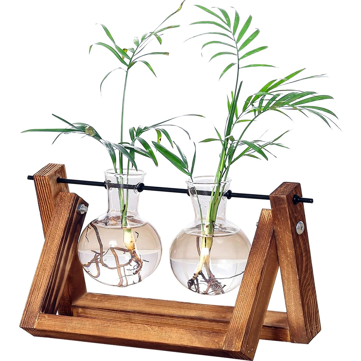 Kingbuy Terrarium Propagation Station 3 Bulb Glass Vase on Wooden Stand