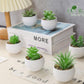 Der Rose 6 Pack Small Succulent Plants Faux Potted Greenery