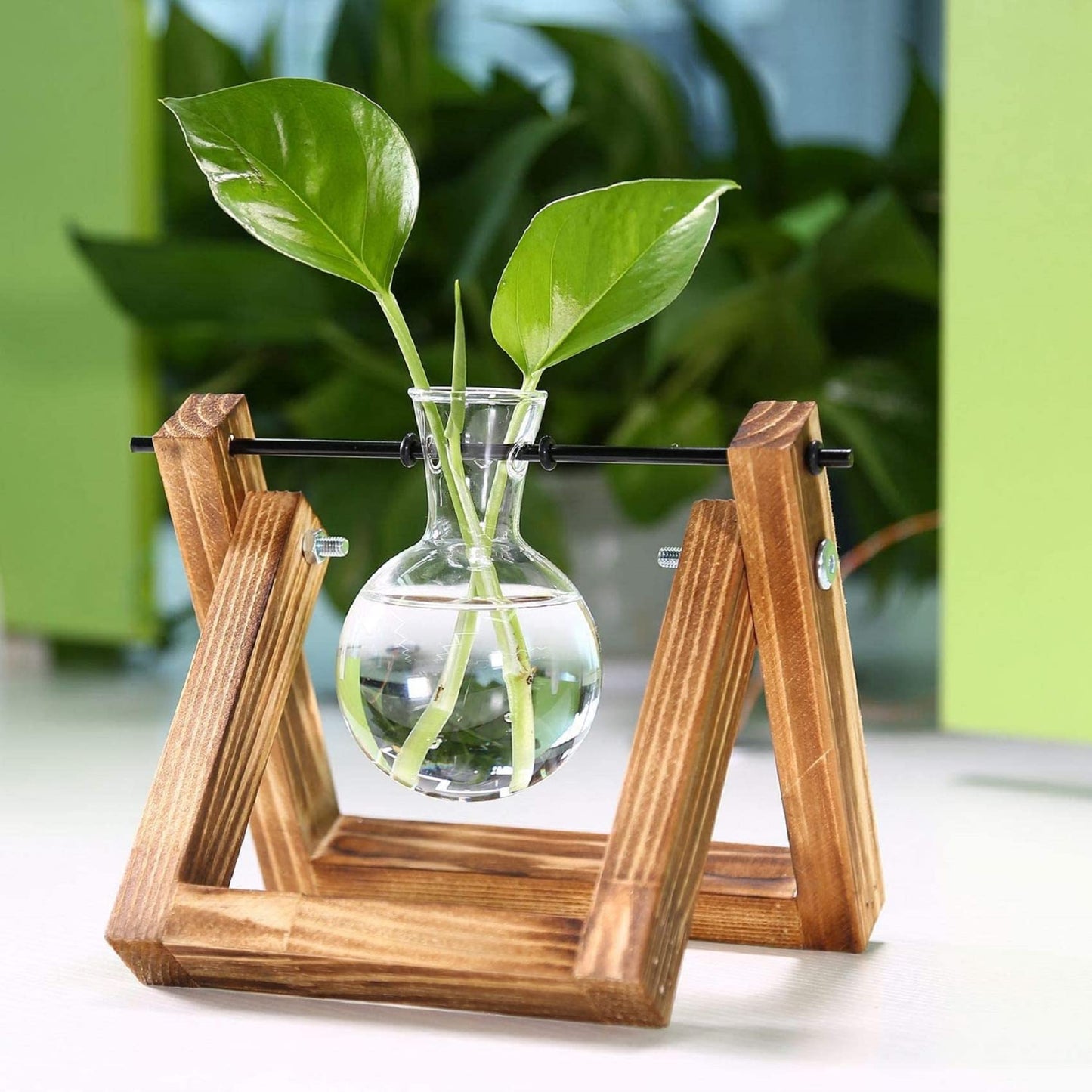 Kingbuy Terrarium Propagation Station 3 Bulb Glass Vase on Wooden Stand