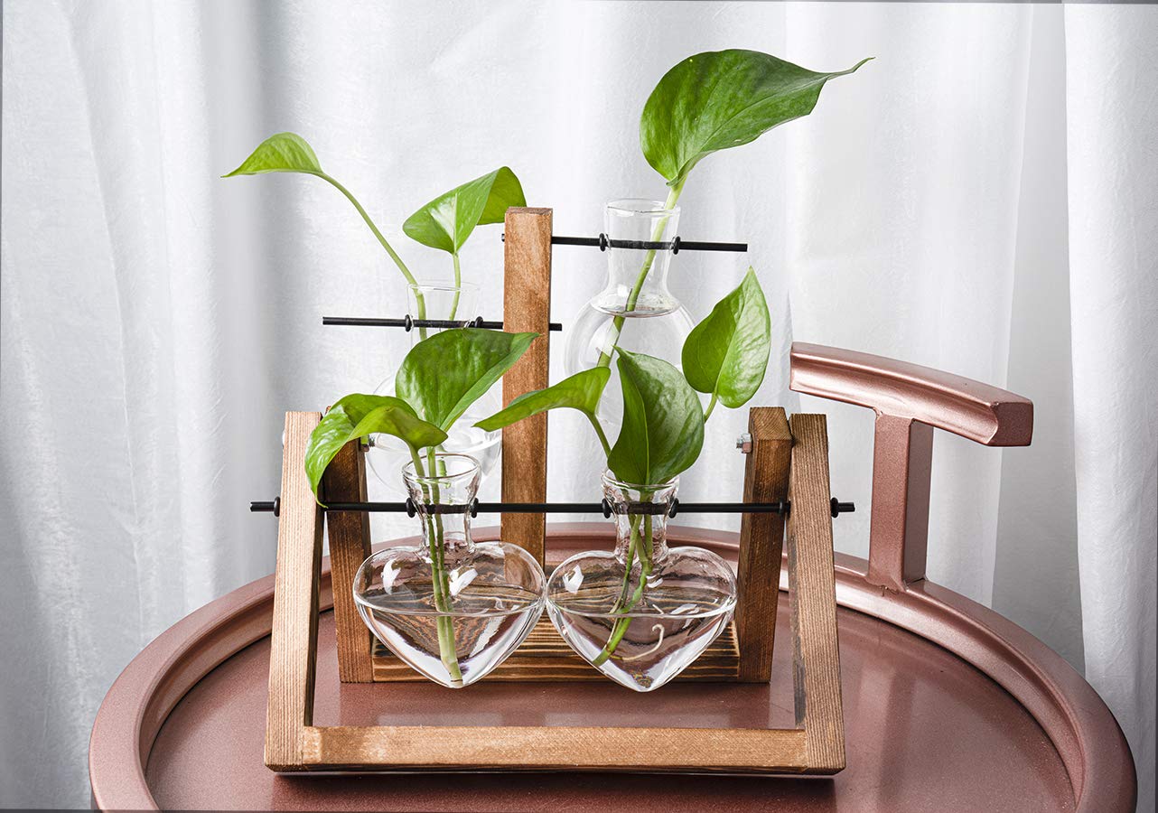 Kingbuy Terrarium Propagation Station 3 Bulb Glass Vase on Wooden Stand