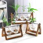 Kingbuy Terrarium Propagation Station 3 Bulb Glass Vase on Wooden Stand
