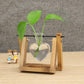 Kingbuy Terrarium Propagation Station 3 Bulb Glass Vase on Wooden Stand