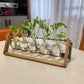 Kingbuy Terrarium Propagation Station 3 Bulb Glass Vase on Wooden Stand