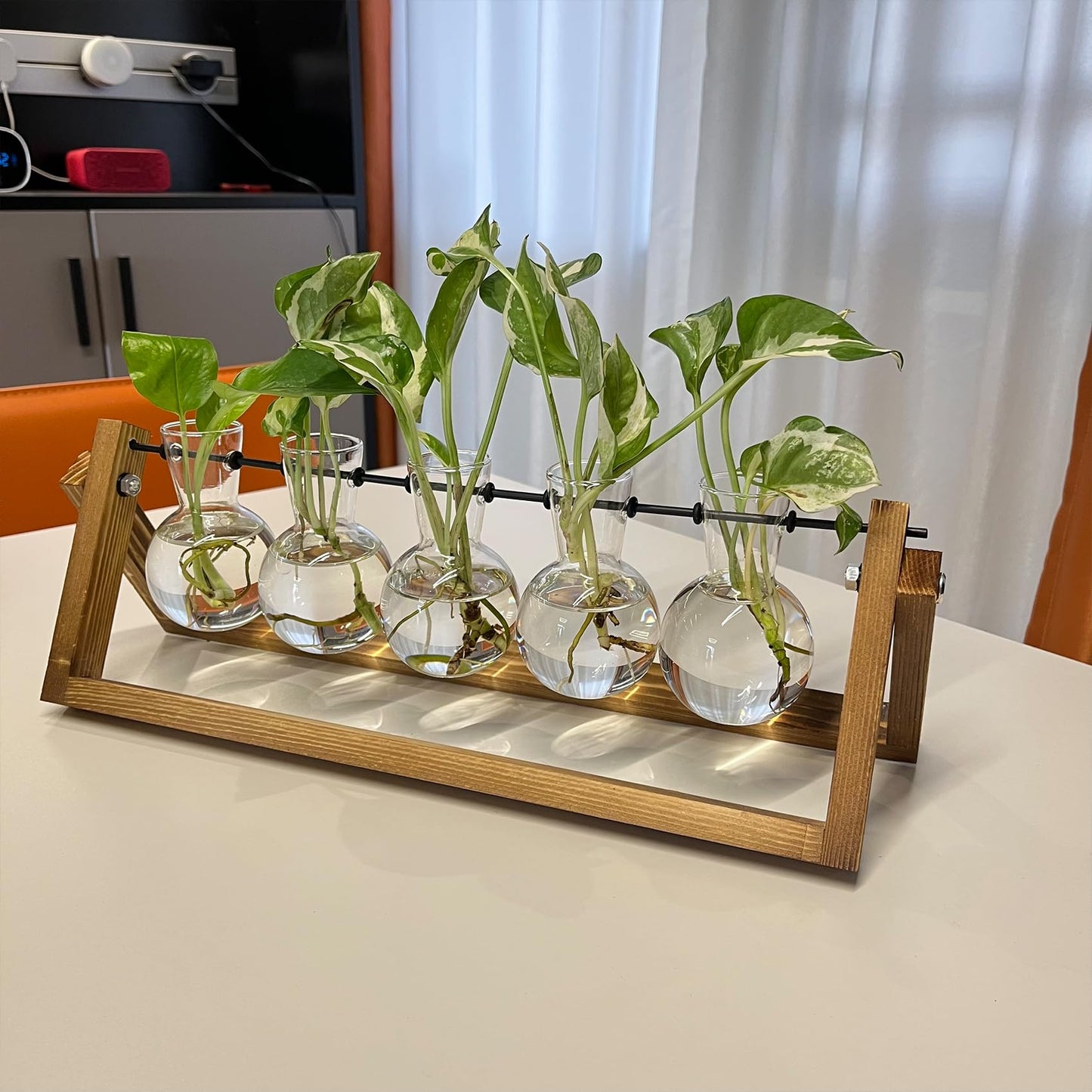 Kingbuy Terrarium Propagation Station 3 Bulb Glass Vase on Wooden Stand