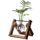 Kingbuy Terrarium Propagation Station 3 Bulb Glass Vase on Wooden Stand