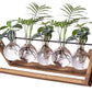 Kingbuy Terrarium Propagation Station 3 Bulb Glass Vase on Wooden Stand