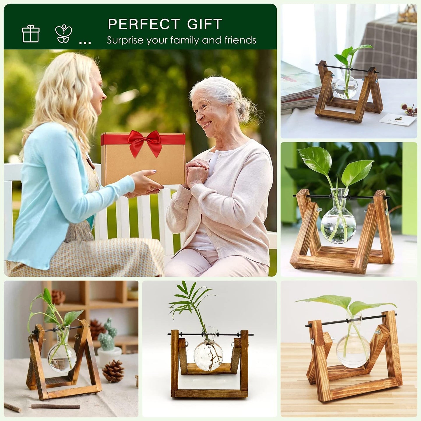 Kingbuy Terrarium Propagation Station 3 Bulb Glass Vase on Wooden Stand