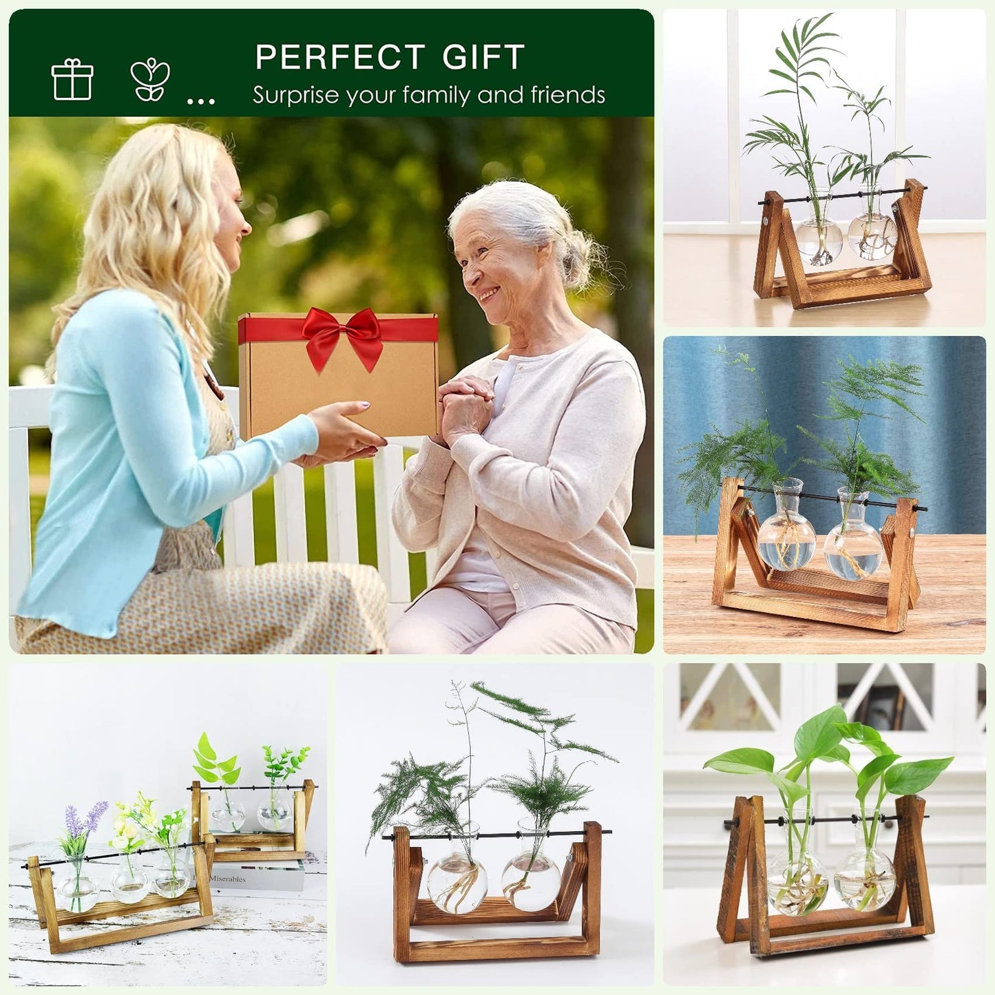 Kingbuy Terrarium Propagation Station 3 Bulb Glass Vase on Wooden Stand