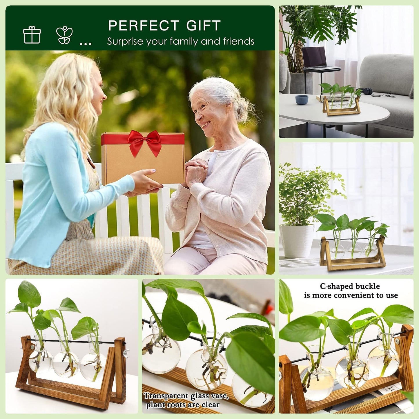 Kingbuy Terrarium Propagation Station 3 Bulb Glass Vase on Wooden Stand