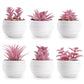 Der Rose 6 Pack Small Succulent Plants Faux Potted Greenery