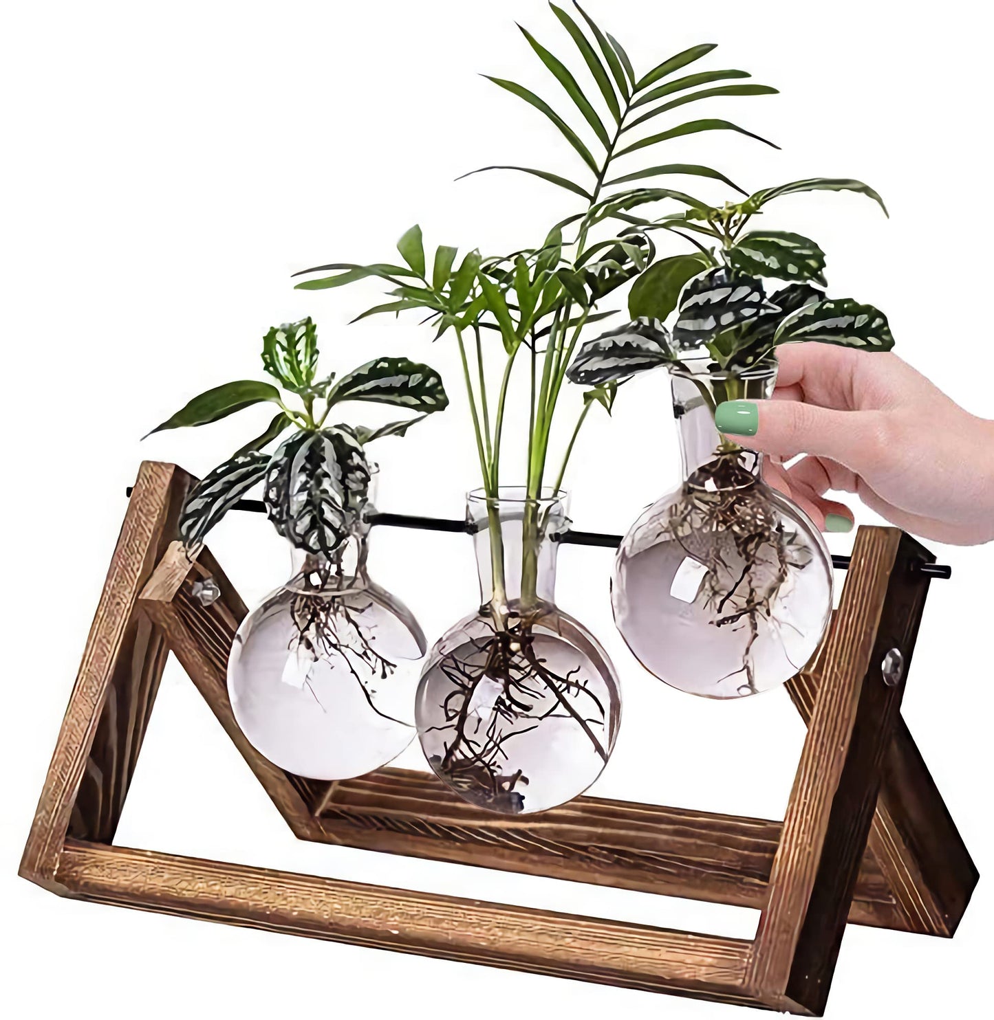 Kingbuy Terrarium Propagation Station 3 Bulb Glass Vase on Wooden Stand