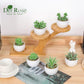 Der Rose 6 Pack Small Succulent Plants Faux Potted Greenery