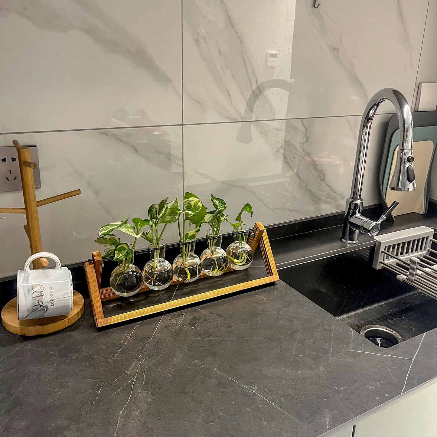 Kingbuy Terrarium Propagation Station 3 Bulb Glass Vase on Wooden Stand