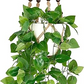 Mkono Hanging Fake Plant with Pot Macrame Artificial Pothos