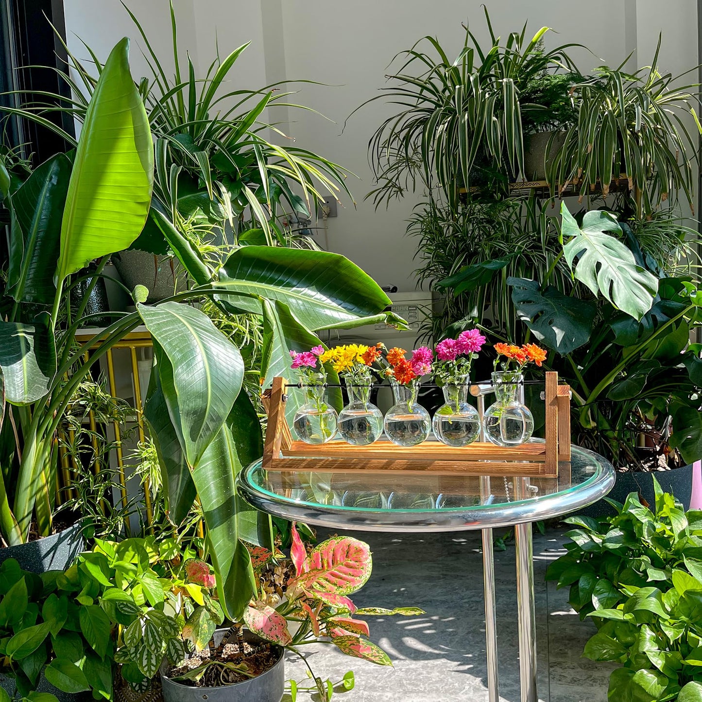 Kingbuy Terrarium Propagation Station 3 Bulb Glass Vase on Wooden Stand